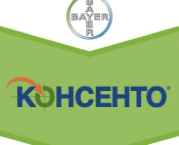 Консенто ЗАБРАНЕН ПРЗ